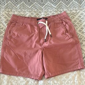 Men's Pink Shorts (7”) - Hollister